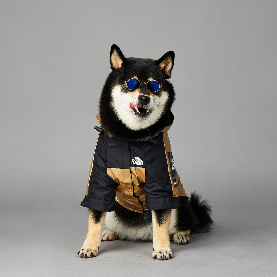 Pet Large Breed Waterproof Raincoat Jacket Outfit