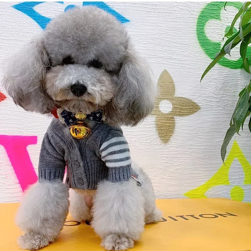 Pet Cardigan Style Knit Sweater Outfit