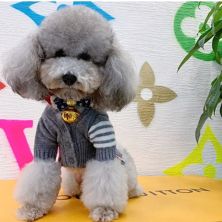 Pet Cardigan Style Knit Sweater Outfit