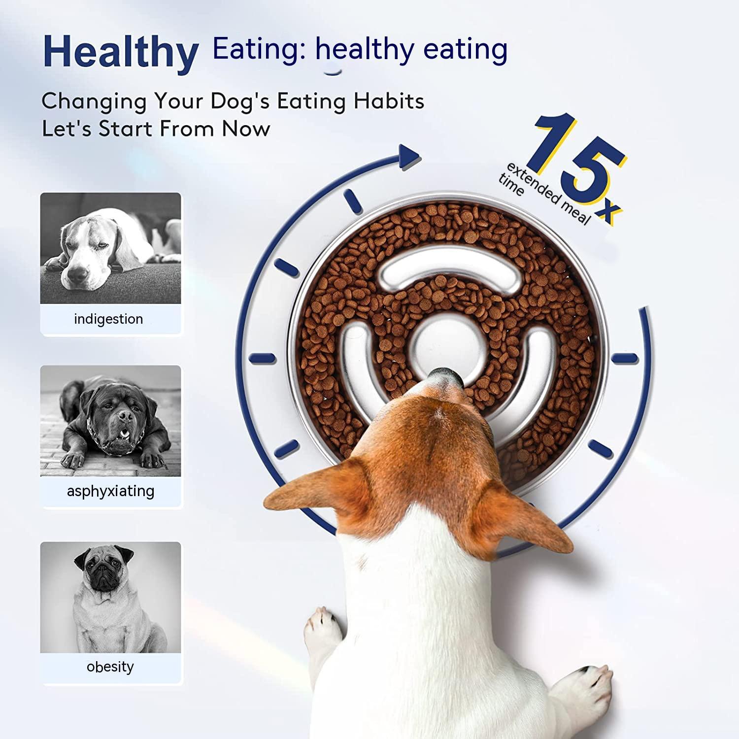 Stainless Steel Slow Feeding Bowl With Neck Protector For Pet