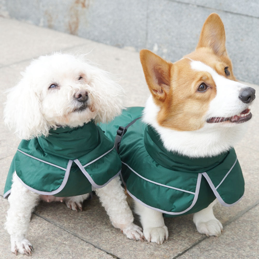 Pet Warm Shell Outdoor Jacket Outfit