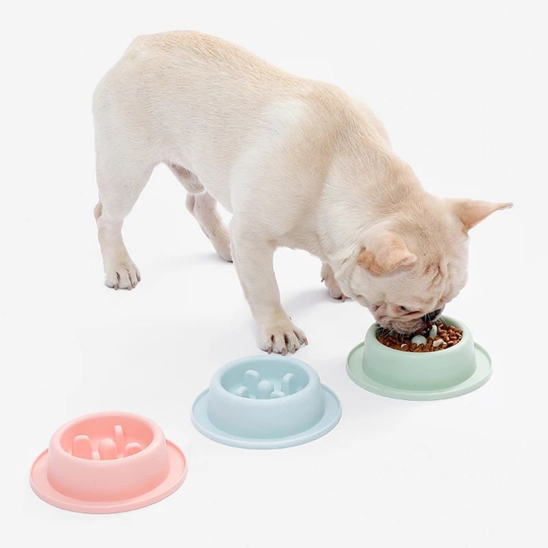 Anti Choking Slow Feeding Bowl Plate For Pet