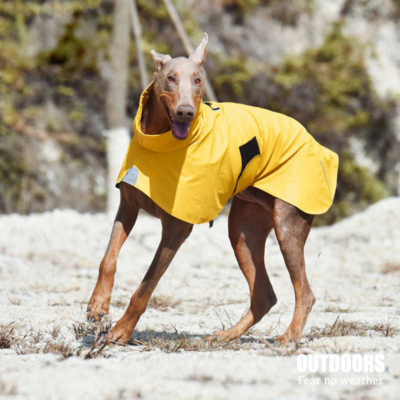 Pet Waterproof Windproof Shell Raincoat Jacket Outfit