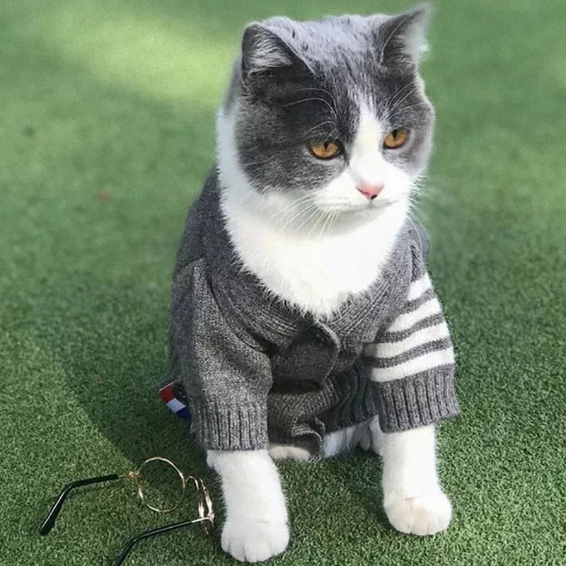 Pet Cardigan Style Knit Sweater Outfit