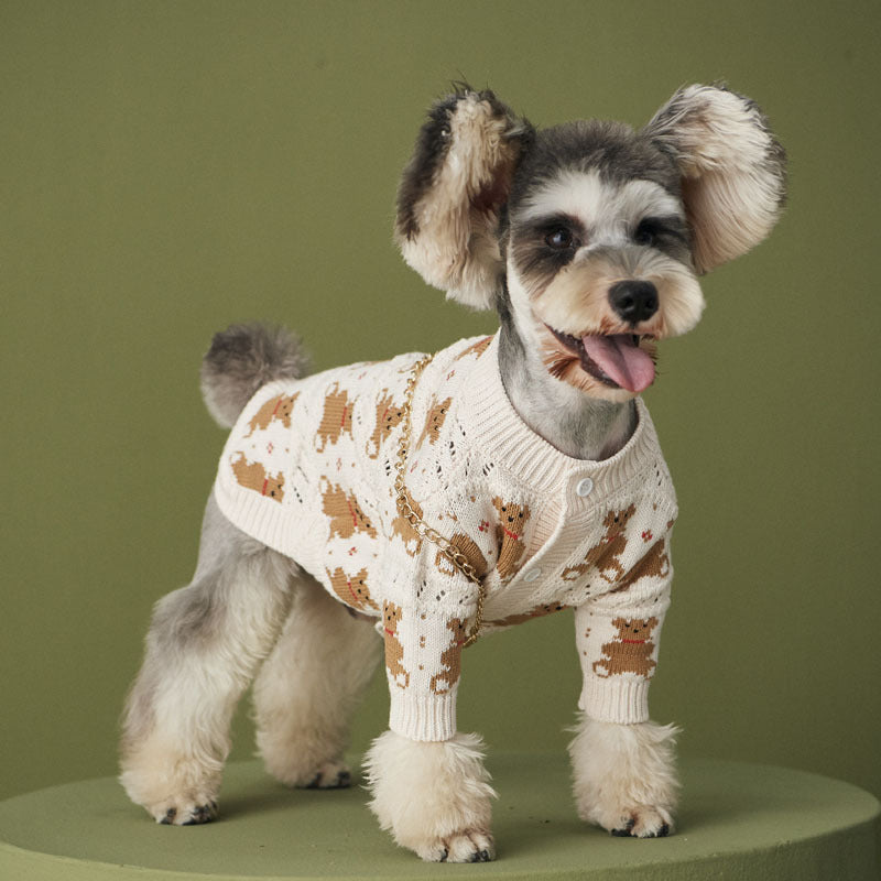 Pet Cute VIP Fashion Jacket Outfit