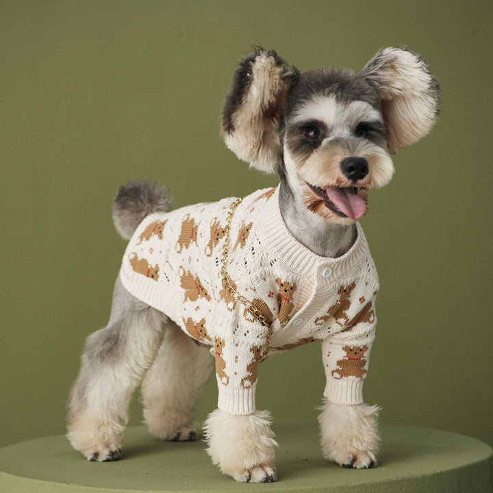 Pet Cute VIP Fashion Jacket Outfit