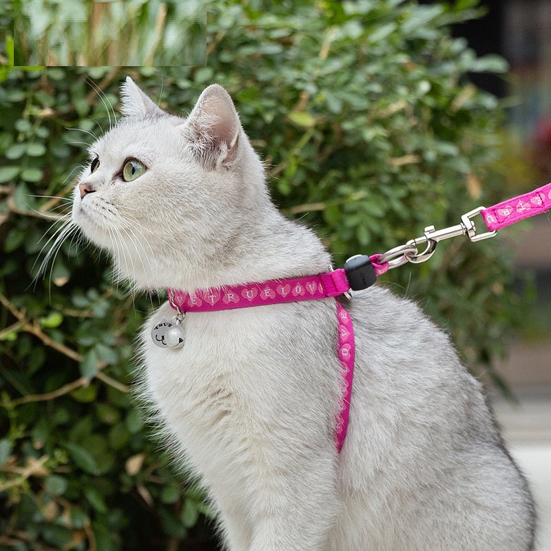 Bell Chest Strap Vest With Leash For Pet