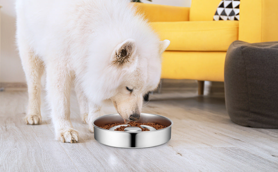 Stainless Steel Slow Feeding Bowl With Neck Protector For Pet